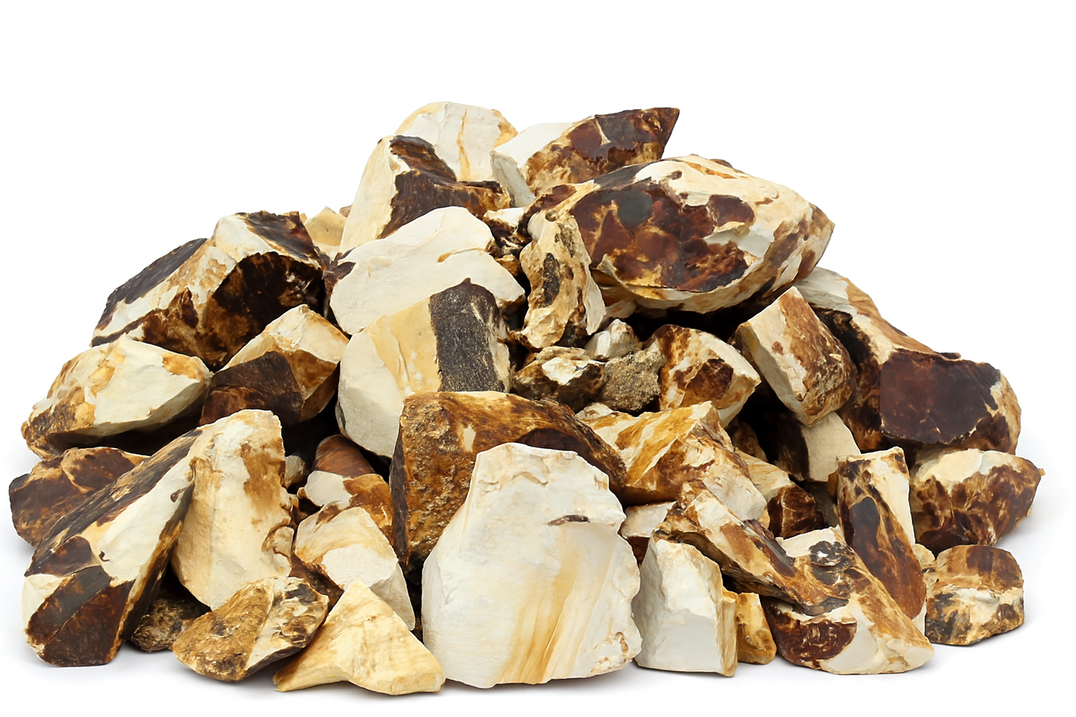 Copilot_20260105_113519